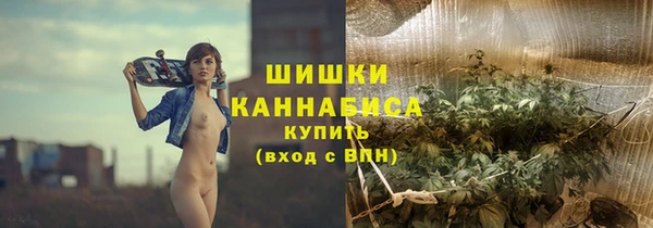 a pvp Инсар
