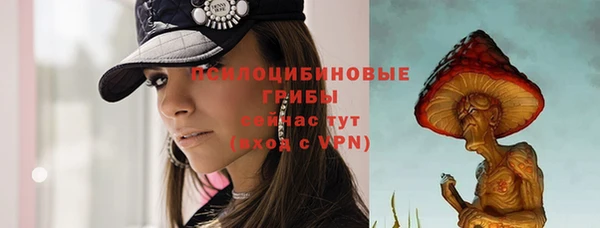 a pvp Инсар
