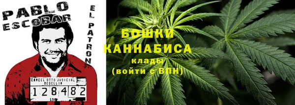 a pvp Инсар