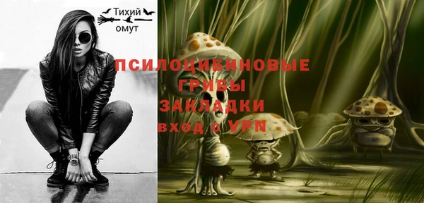 a pvp Инсар