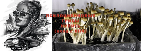 a pvp Инсар