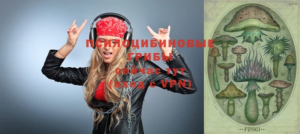 a pvp Инсар