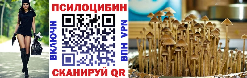 Псилоцибиновые грибы ЛСД  Купить  Зея 